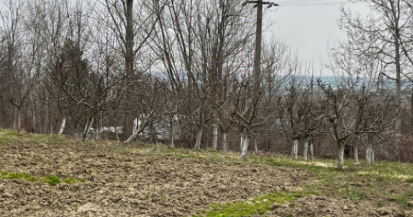 Teren intravilan, 2100 mp, deschidere 26 ml - Siret