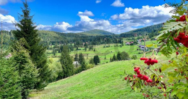 RECO Teren intravilan in Arieseni