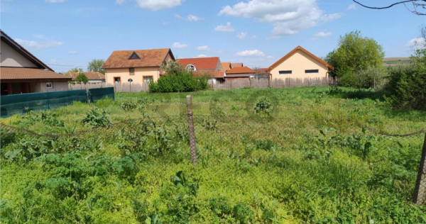 RECO Teren intravilan, Biharea