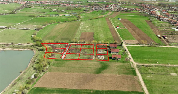 RECO , teren intravilan, Ineu,Bihor