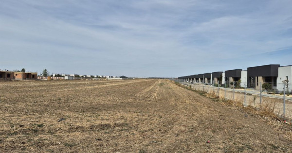 Teren intravilan 16.248 mp - Domnesti