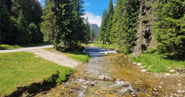 Teren intravilan de in Dambovita / Padina/ Muntii Bucegi