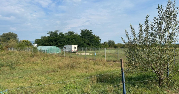 Teren intravilan – Hălchiu, str. Feldioarei – 1600 mp