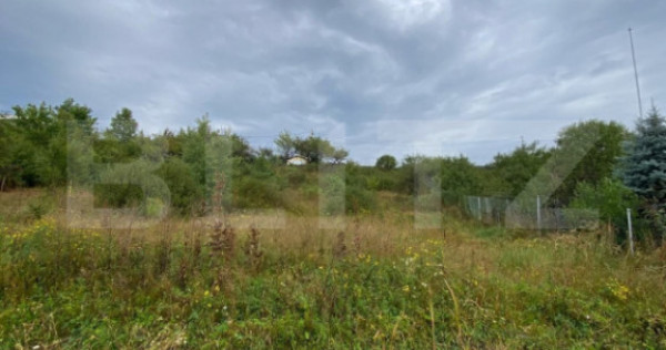 Teren intravilan 9.8 ari &ndash; Valea Rusului-Zona Pensiunea Mo