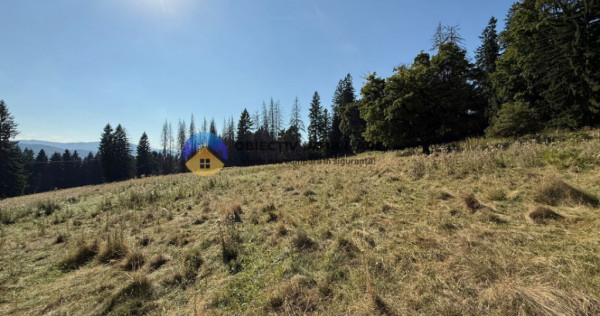 Teren de vânzare 5000 mp – Piatra Neamț