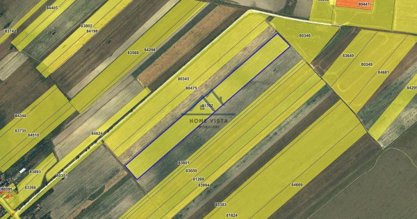 Teren agricol extravilan – Rătești, Argeș