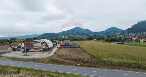 Un lot de casa intrare Sacele 790 mp + 3 loturi de 440mp
