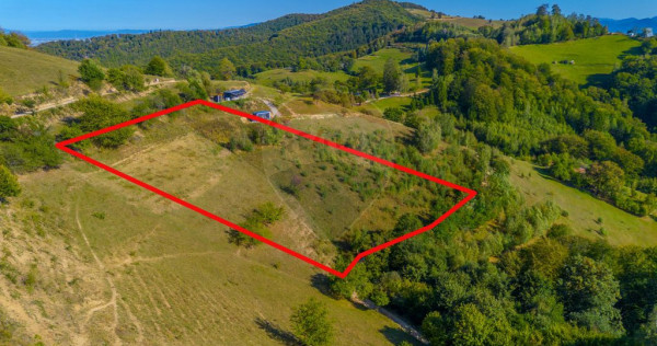 Teren extravilan 6,014mp | Holbav | BRASOV | COMISION 0|