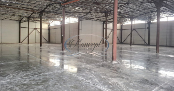 Hala ideala pentru productie sau logistica, pe Calea Baciulu