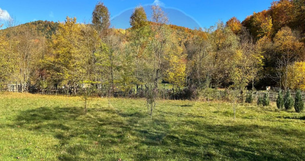 Teren de vanzare Cuiejdel 1350 mp