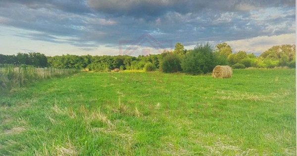 TEREN INTRAVILAN CU PUZ\ 704 MP\CARANSEBEȘ\ ZONA TEIUȘ