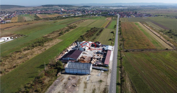 Oportunitate investi#539;ie prelucrare lemn, Cristian,jud.Si