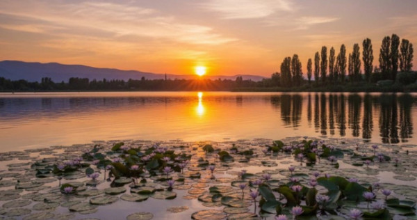 TEREN SILISTEA SNAGOVULUI 5000mp iesire LAC 30ml