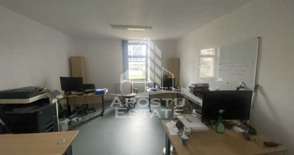 Casa în Dumbrăvița cu teren de 3039 mp și Front Strad...