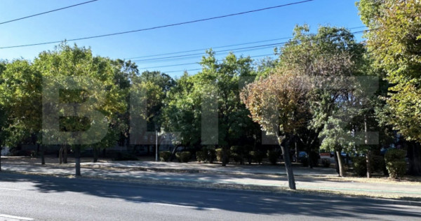 Teren stradal, Calea Bucuresti, 1920 mp intravilan, pozitie