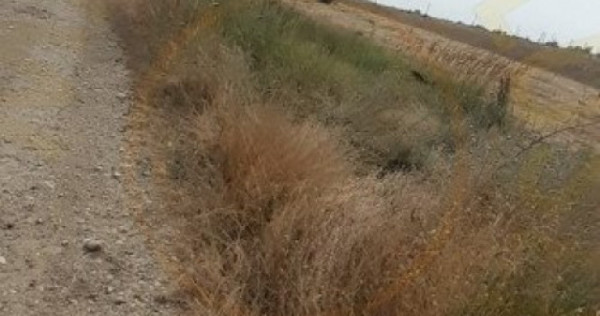 0% COMISION !!! TEREN INTRAVILAN - BRADU