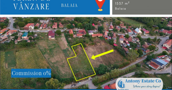 Teren intravilan, de - Balaia, Bihor