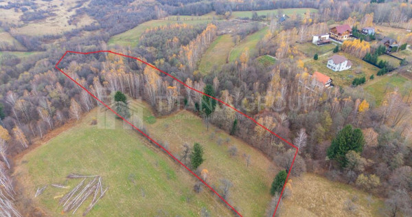 Teren intravilan, cu PUZ, Bran Tohanita, SE ACCEPTĂ ȘI ...