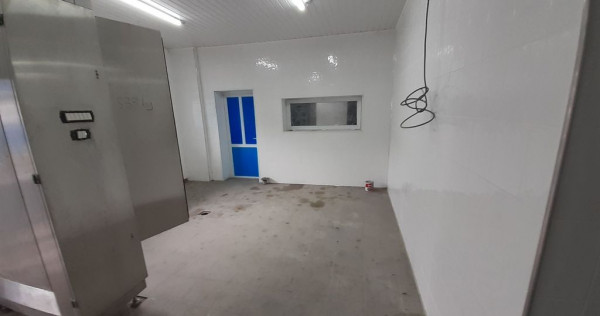 Hala - flux DSV - domeniu alimentar - productie sau catering