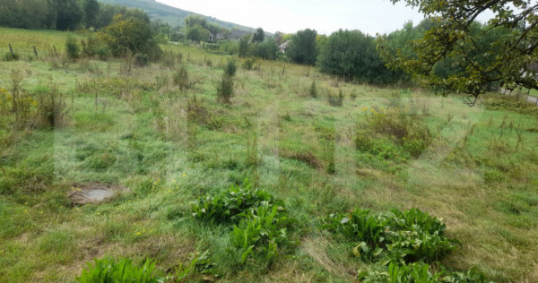 Teren intravilan 11 ari, pentru constructie casa, sat Chiral