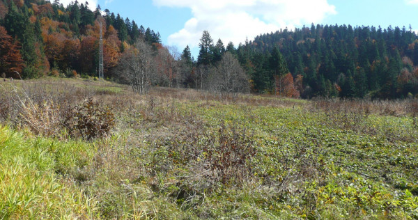 Predeal-Teren intravilan situat in Paraul Rece