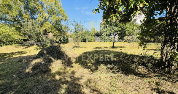 TEREN INTRAVILAN 3234 MP LEREȘTI VOINEȘTI ARGEȘ