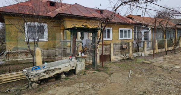 Casa batraneasca pe un singur nivel , 1700 mp teren, Bradest