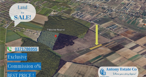 Oportunitate de investitie - Teren Cihei, langa Padurea Nojo