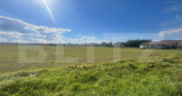 Teren Extravilan în Apropiere de Jelna – 25.800 mp, cu Ut