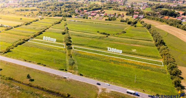 Teren extravilan Lunca Calnicului langa E574