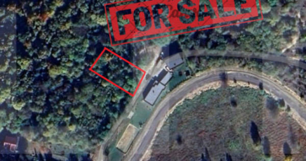 Teren de investitie 1256 mp