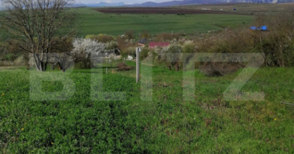 Teren intravilan, 1500 mp in Turda