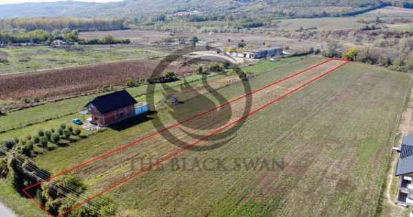 Teren intravilan de vanzare | 3.084mp | Plavia - Urlati |...