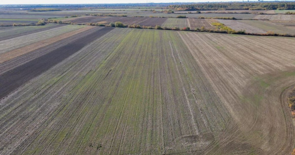 Bucovat - Lot Intravilan 2.27 Ha, PUZ inceput, Rezidentia...