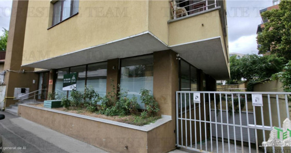 Birou/Apartament 4 camere cu gradina, zona Cismigiu