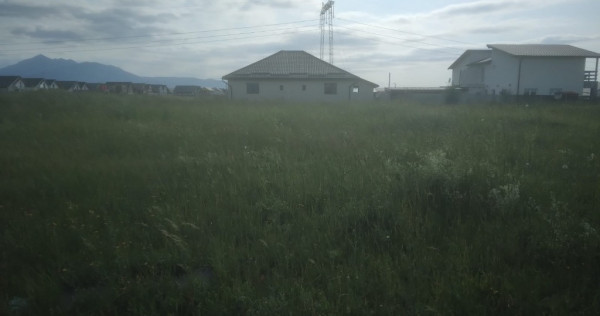 Teren Izvor-Tărlungeni