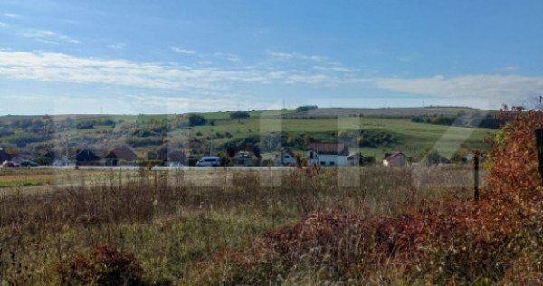 Teren intravilan 2877 mp, in Copaceni