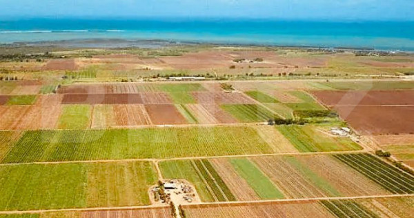 Terenuri extravilane agricole de vanzare - Voila, Brasov 22.