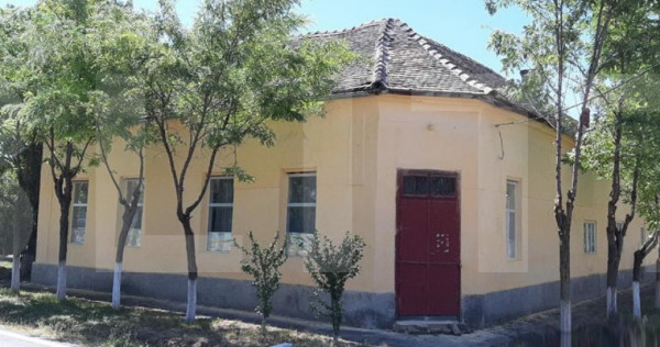 ???? Casa mare de vanzare Checea 220mp