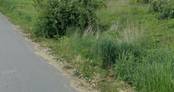 1 DECEMBRIE - TEREN INTRAVILAN