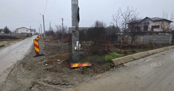 2 loturi 1000 mp Strada Pinului - 1 Decembrie