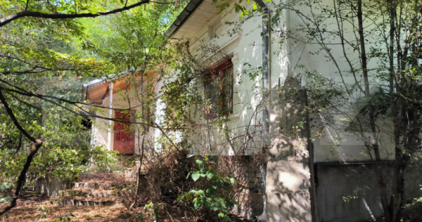 Teren 3000 mp - 1200 mp intravilan, zona Cuparu