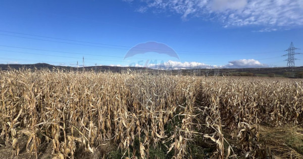 Teren extravilan agricol de vânzare - Selimbar Sibiu