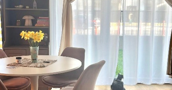 Studio dublu 2 camere de închiriat în complexul Avalon Estate