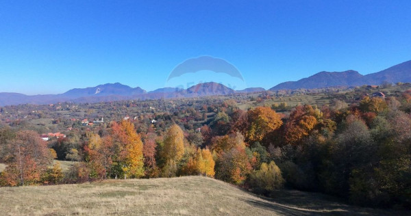 Teren 2,500mp Bran / Strada Bradul Inalt