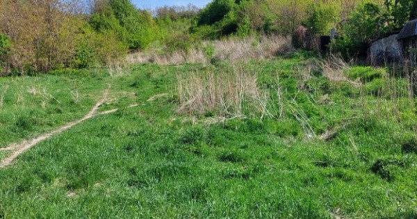 Teren intravilan Piatra Neamt, zona Darmanesti