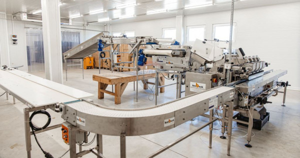 Plantatie de afin din Romania BUSINESS DE VANZARE