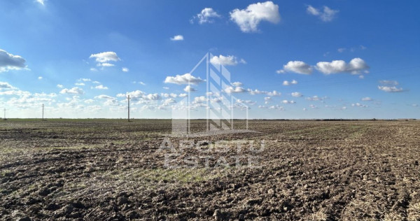 Teren 98.503 mp, intravilan, ideal parc fotovoltaic, Peci...