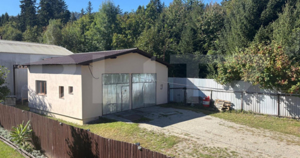 Spațiu pentru activitate de tip service auto/depozit, 80 mp