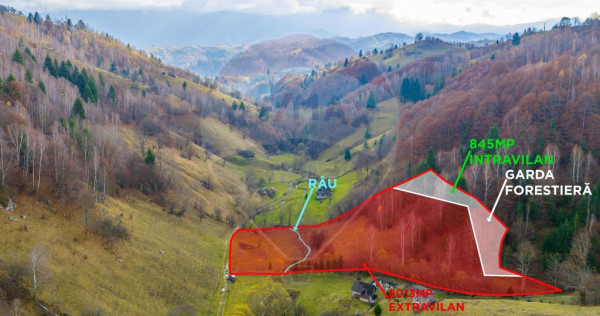 COMISION 0% Teren 8013mp Moieciu de Jos / Strada Valea cu...